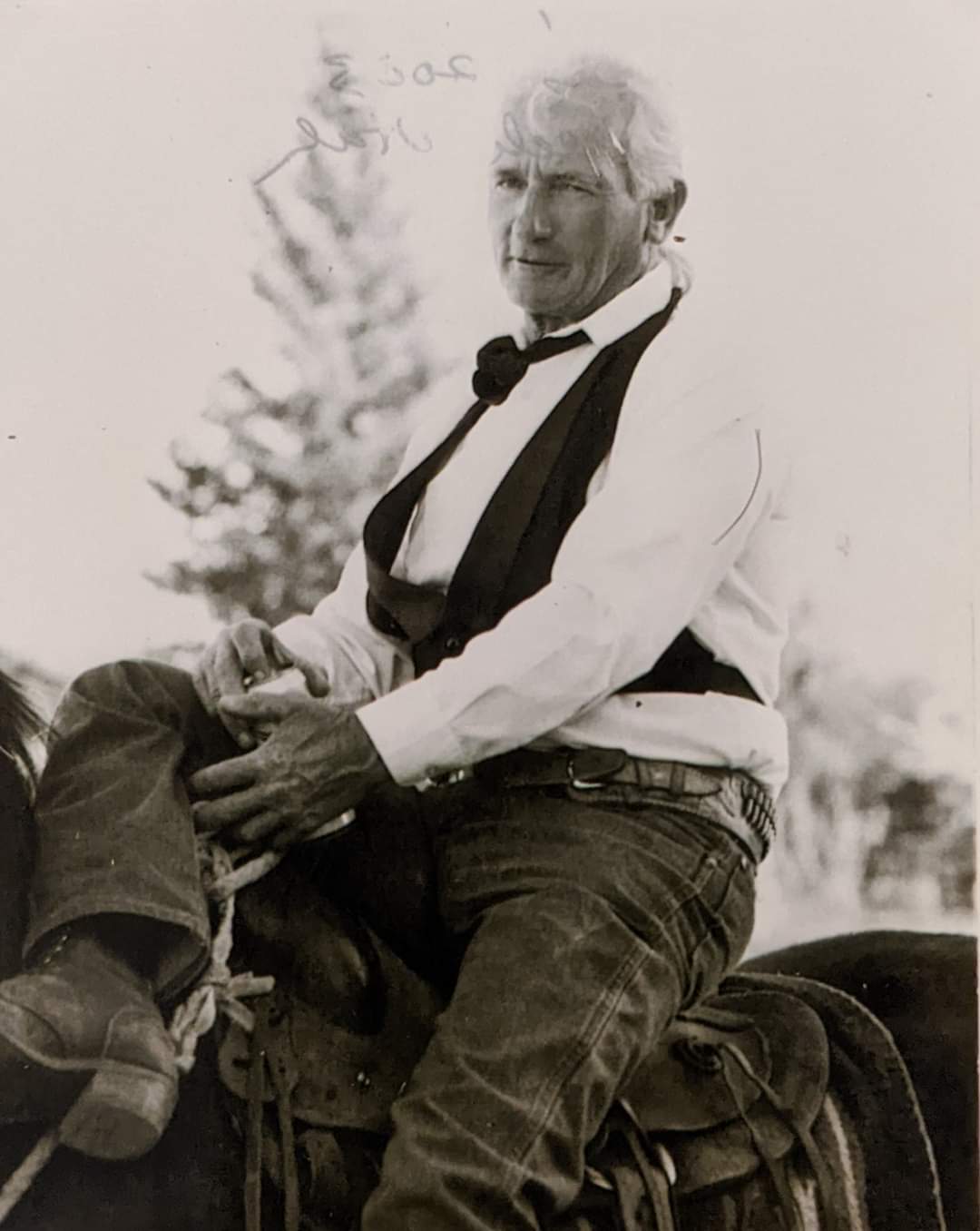 dalton-hoopes