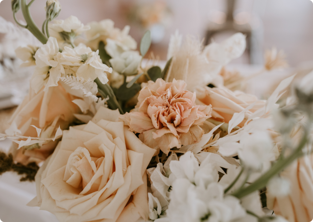 Affordable Burial Services Affordable Burial Services